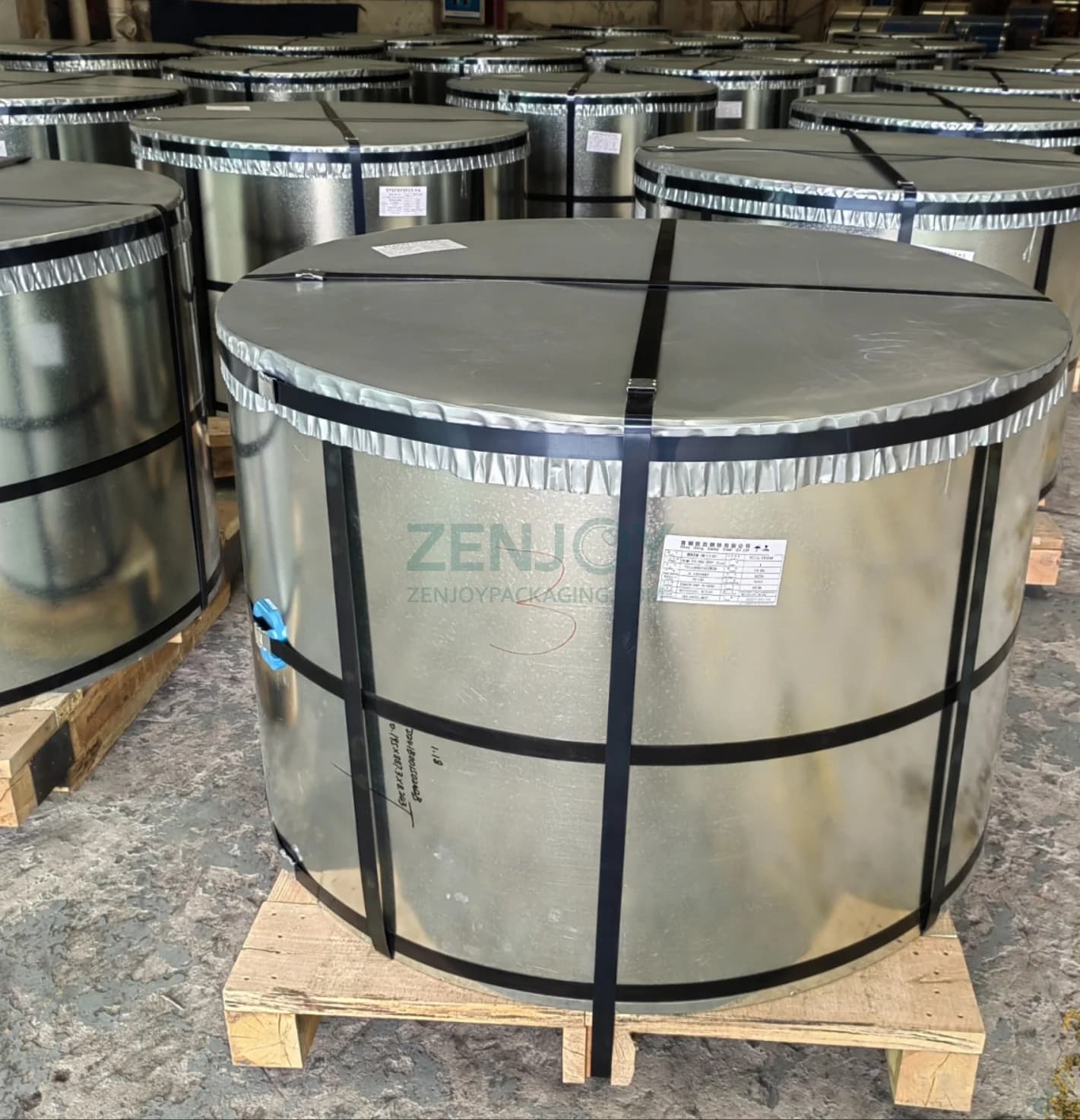 Tin-free Steel (TFS) Sheet in Coil