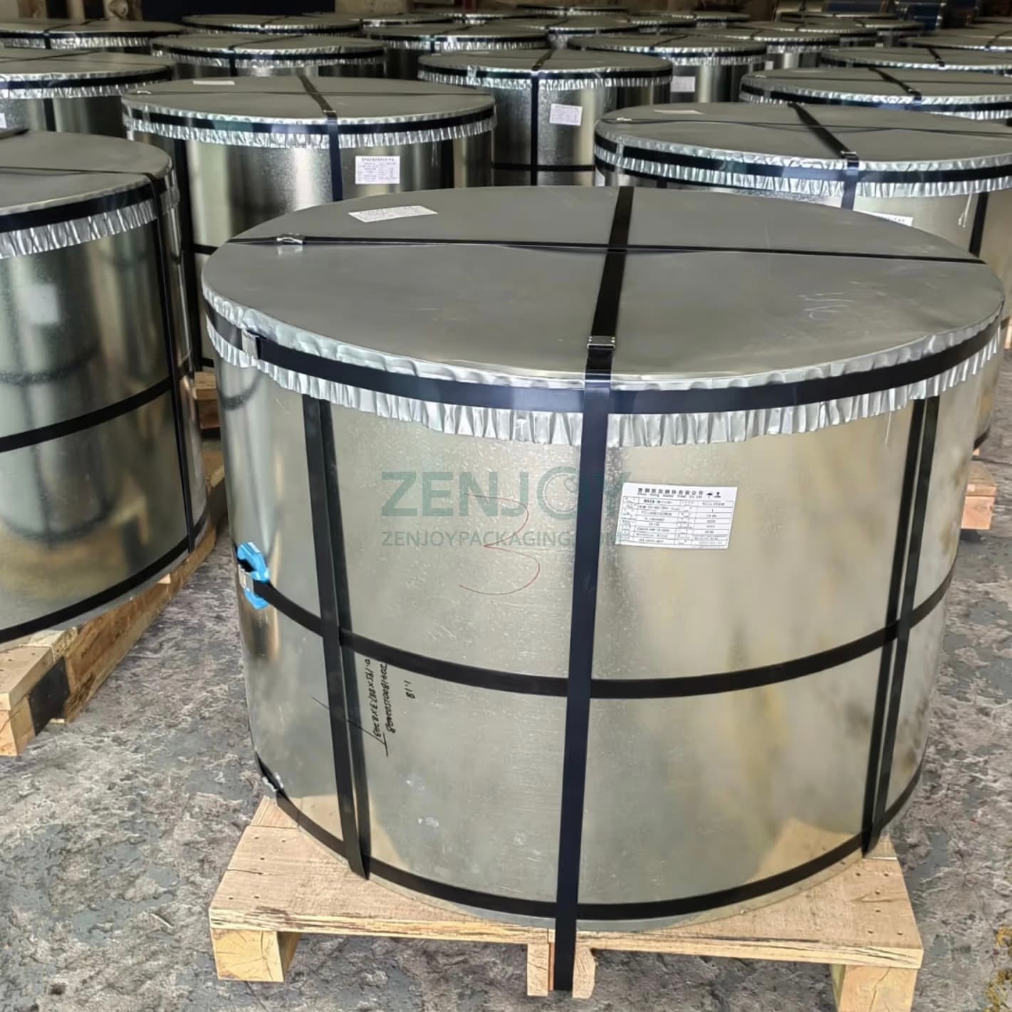 Tin-free Steel (TFS) Sheet in Coil